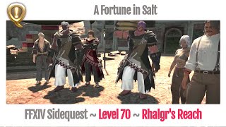 FFXIV A Fortune in Salt  Stormblood [upl. by Montgomery884]