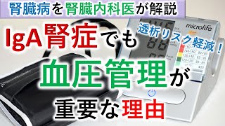 【腎臓内科医】IgA腎症でも血圧管理が大事！【薬】 [upl. by Amr]