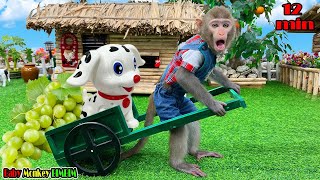 Baby BIM BIM helps poor dog fix broken truck  Life of a Baby Monkey BIMBIM [upl. by Yoccm324]