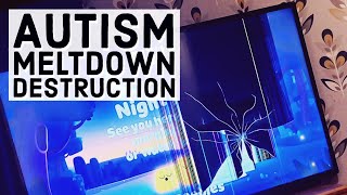 Meltdown DestructionAutism Family Vlog296 [upl. by Wheeler]