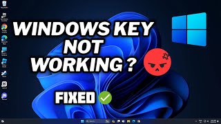 FIX Windows Key Not Working  Problem in Windows 11  2024 [upl. by Estren]