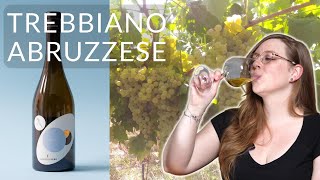 TREBBIANO ABRUZZESE An Uncommon White Wine Grape to Get to Know [upl. by Ettennyl]