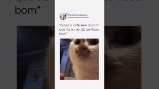 PROVA ESSE CAFÉ PRA MIM 🤭 shots shotsviral short videocomedia gatos [upl. by Gabriella]