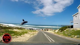 Driving from Malgas to Witsand  dash cam South Africa [upl. by Athenian]