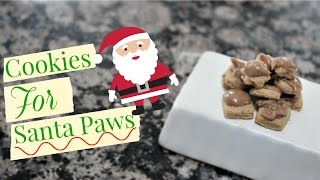 DIY Christmas Hamster treats [upl. by Marbut]