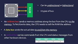 Address Data and Control Buses [upl. by Yeniar619]