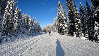 BVN Lake Louise XC Ski Camp 2024 [upl. by Anovahs]