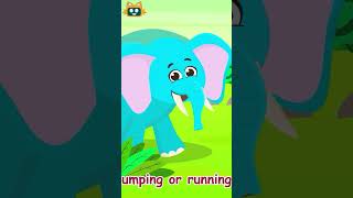 The Elephant Song  Songs for Kids nurseryrhymes kidssongs  Miniyo Kids [upl. by Ainot281]