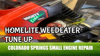 Homelite Weed Eater Wont Start [upl. by Vasiliu]