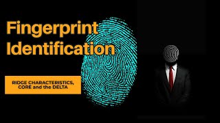 Fingerprint Identification  Personal Identification Techniques [upl. by Akinej]