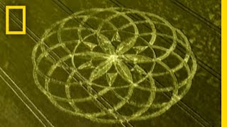 Crop Circle Mystery  National Geographic [upl. by Russ]