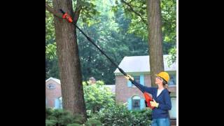 Review Black amp Decker NPP2018 18Volt Cordless Electric Pole Chain Saw [upl. by Aiyram759]