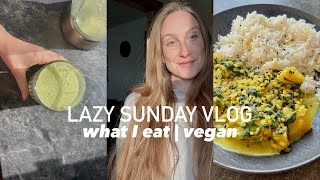 SonntagsVlog  What I eat  vegan amp einfach [upl. by Hutchings160]