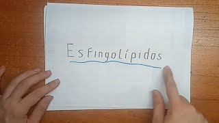 Aprendé que son los ESFINGOLÍPIDOS ¡¡EN 5 MINUTOS 🧠🧠 [upl. by Stallworth]