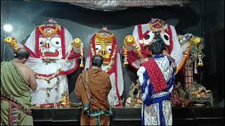 Shri Jagannath Sandhya Arati Darshan 🙏  30Nov2024 [upl. by Weixel]