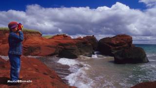 Geoffroy  Coastline [upl. by Boice]