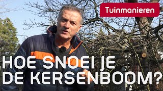 De kersenboom hoe snoei je m  Tuinieren  Tuinmanieren [upl. by Towers975]