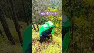 Actual Uttarakhand Lies Here । Ghaseri of Pahad Folk Song Bajuband Tough Life of Uttarakhand [upl. by Yelsek]