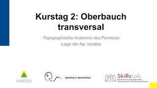 Vorklinischer Sonographie Kurs 2 Oberbauch transversal [upl. by Khan]