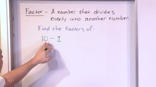 Finding Factors of Numbers  5th Grade Math [upl. by Atinuj]