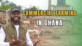 I VISITED ONE OF THE BIGGEST LIVESTOCK INTEGRATED FARMS IN GHANA [upl. by Oliric542]