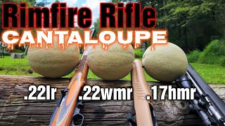 CANTALOUPES vs 22LR 22WMR 17HMR RIFLES [upl. by Geesey]