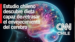 Expertos chilenos descubren dieta capaz de retrasar el envejecimiento del cerebro ¿En qué consiste [upl. by Treblih]