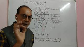 joints of upper limb wrist joint part 2 with diagram [upl. by Nayek321]