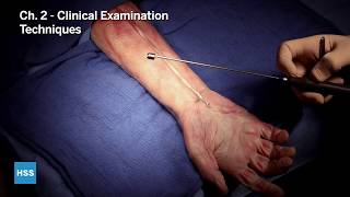 Palmaris Longus Tendon Part 2 Clinical Examination Techniques [upl. by Einatsed838]