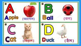 Learn Alphabet A To Z  English Alphabet With Life Example  ABC Preschool  A to Z acbd Video [upl. by Celeski]