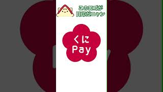 国立市デジタル地域通貨「くにPay」のカードデザイン・ロゴ・決済音を紹介します！ 国立市 デジタル 地域通貨 [upl. by Borlase]