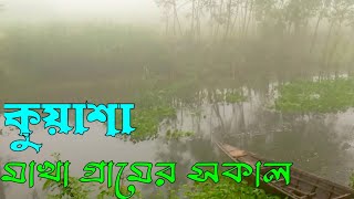 কুয়াশা মাখা গ্রামের সকাল। শীতের আগমন শুরু। ভোর বেলার কুয়াশা। Roni village life 2024 [upl. by Argus]