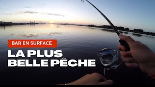 Les plateaux de moules nous rapportent du poisson  Pêche du bar du bord en estuaire [upl. by East]