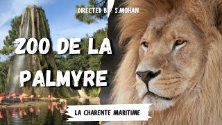 Zoo de la Palmyre 4K Sony A7 IV [upl. by Sirob]