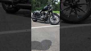 Harley Davidson Sportster Iron 883 Warm Start Rev Idle [upl. by Arit]