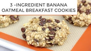 3INGREDIENT BANANA OATMEAL BREAKFAST COOKIES [upl. by Yenttihw]