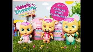 BEBÉS LLORONES LÁGRIMAS MÁGICAS👶💦ABREN NUEVAS CASITAS BIBE🏠🍼⭐VIDEOS BEBES LLORONES EN ESPAÑOL [upl. by Sulrac]