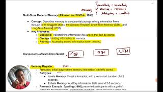 AQA Psychology  Multistore Model MSM  Oxford International AQA Psychology  Part 1 aqa alevel [upl. by Hiasi]