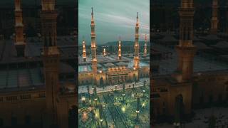 Bulalo sarkar hameen Madina islamicstatus madinha music unfrezzmyaccount [upl. by Ynamad]