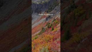 Fall in Washington 🧡🍂🍁 hiking washingtonstate camping solohiking northcascades [upl. by Steen]