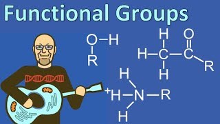 Functional Groups [upl. by Malva]