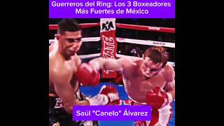 Box Guerreros del Ring Los 3 Boxeadores Más Fuertes de México [upl. by Yroc393]