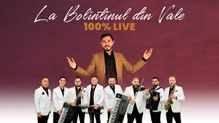 Orchestra Luminii ❌ David Constantin  La Bolintinul din Vale COVER  LIVE [upl. by Etolas175]