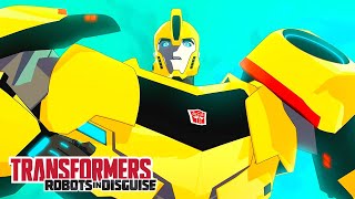 Bumblebee Arrives  Robots in Disguise  Compilation  Animation  Transformers Official [upl. by Namor]