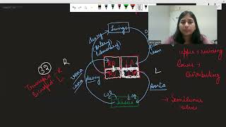 Transportation in plants  life process lecture 2  cbse  ncert  class 10th science xylem phloem [upl. by Eninaj199]