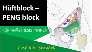 HüftBlock PENGBlock [upl. by Savitt]