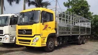 Xe Tải DongFeng Hoàng Gia Howo Chenglong Jac Hyundai Daewoo Fuso [upl. by Daahsar]