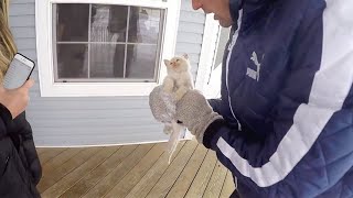 Trovano un gatto congelato in giardino Quello che accade è un vero miracolo damore [upl. by Enilav758]