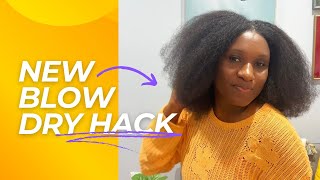 New Blow Dry Technique for Natural Hair  StepbyStep Guide on How I Blow Dry My Hair [upl. by Onurb165]