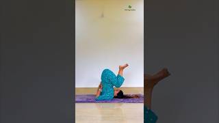 Sarvangasana  Halasana  Yoga Asana sequence yogaurmi urmiyogaacademy yoga fitness [upl. by Winfred989]